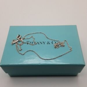 Tiffany & Co. Elsa Peretti Chain Necklace 16"
